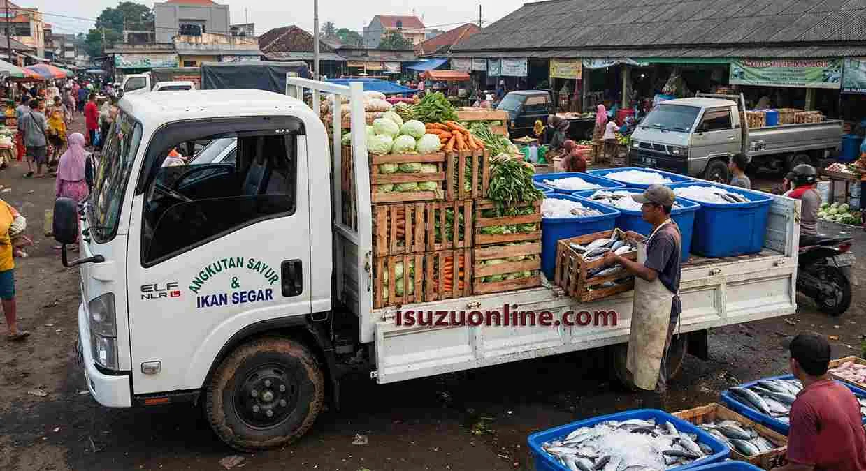 Isuzu Elf NLR L untuk Angkutan Sayur dan Ikan